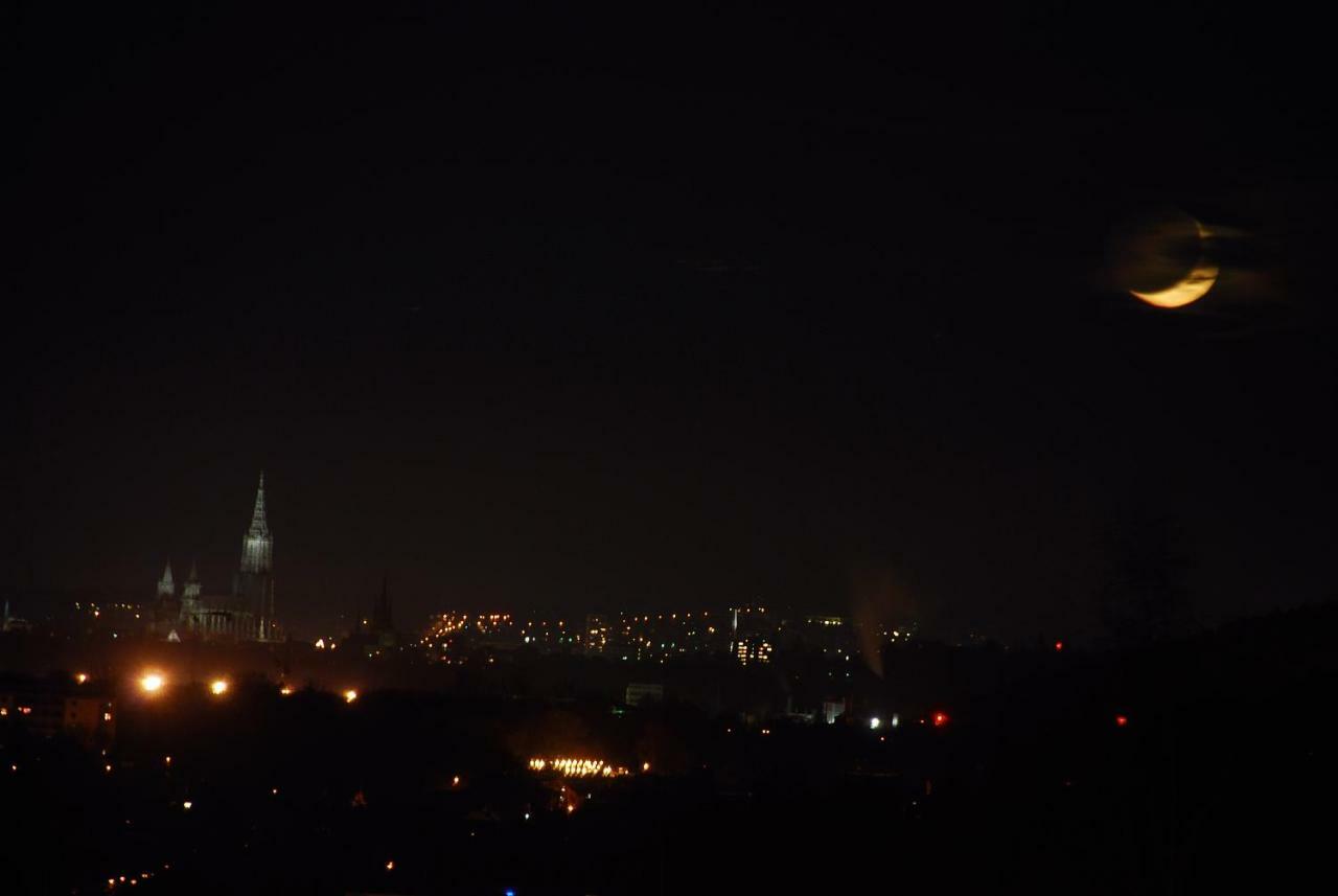 Ulmer Muenster Blick Elchingen