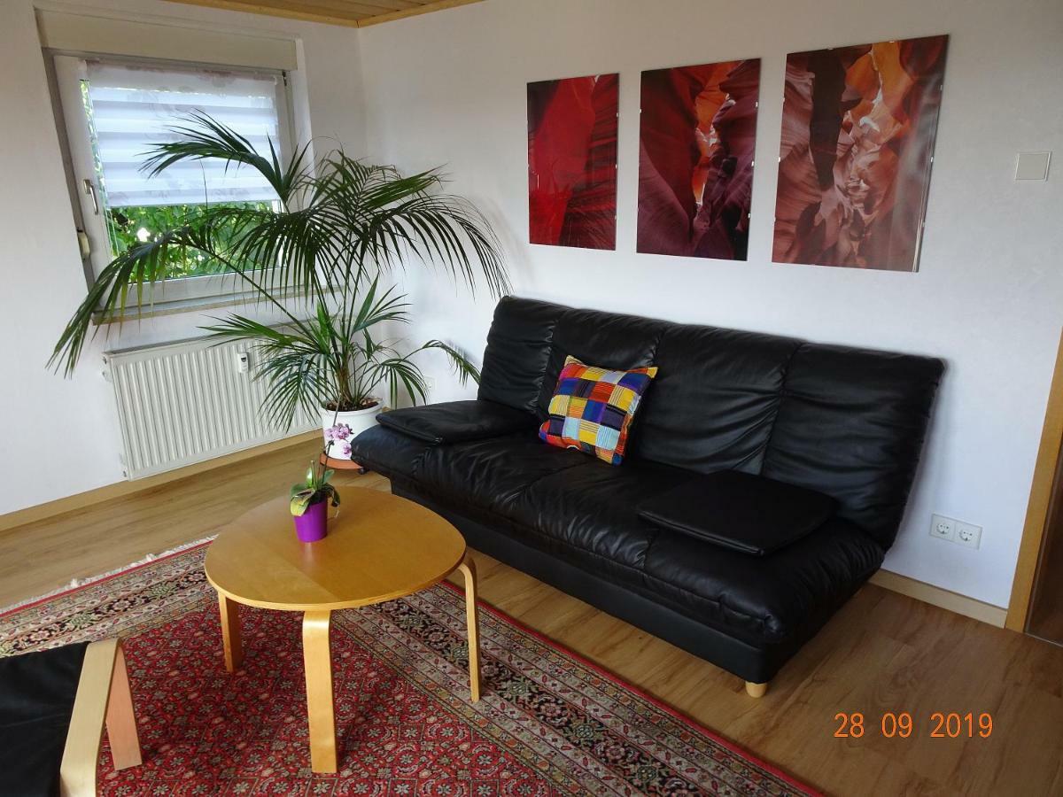 Ulmer Muenster Blick Apartment *