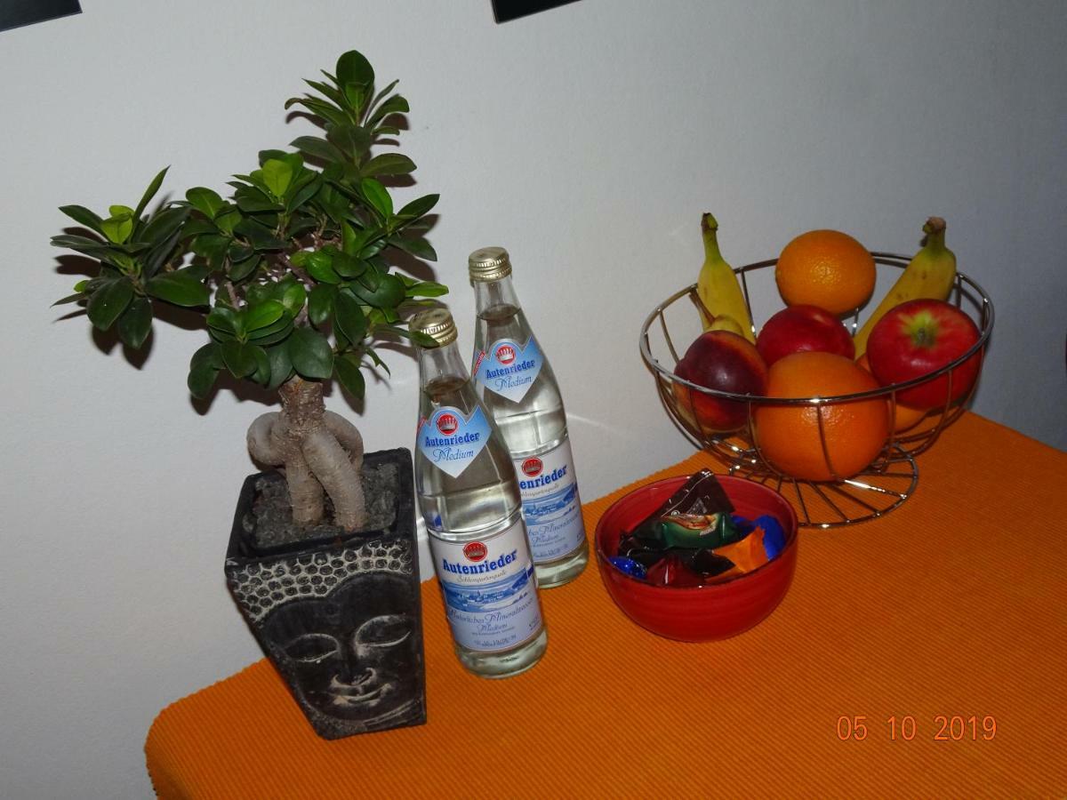 Ulmer Muenster Blick